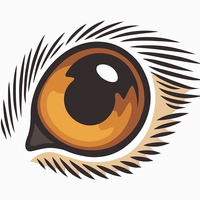 DNS By Eye Logo
