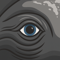 IP Whale Logo